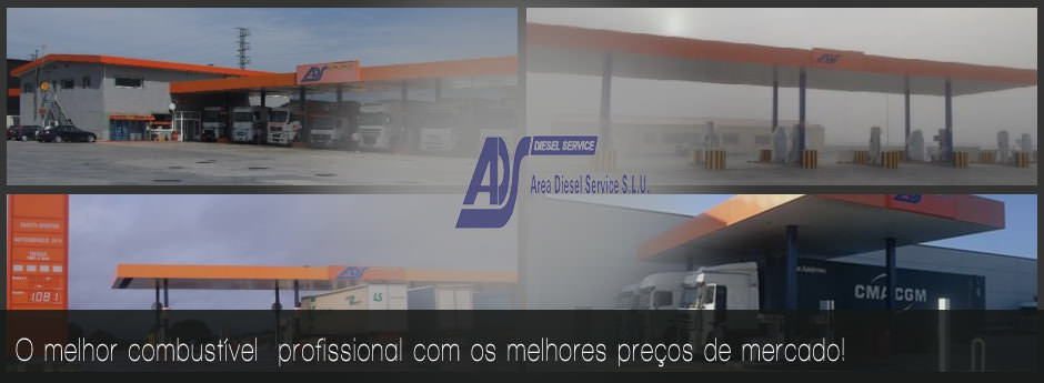 Cartões de combustível profissional das bombas de gasolina da ADS